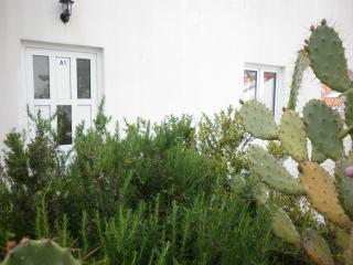 Apartment Hvar Krizna luka - Hvar - 7