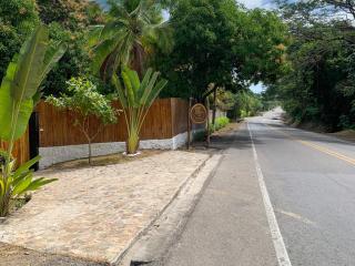 Cocobeach Palomino - 9