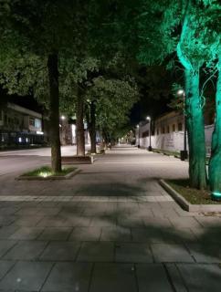 Apartman Knežević- Kuća - Donja Varoš - 8