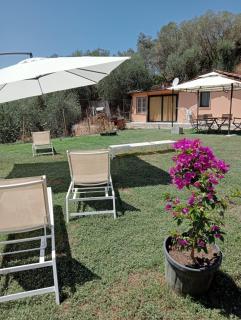 Casa in campagna - Monte Argentario - 0
