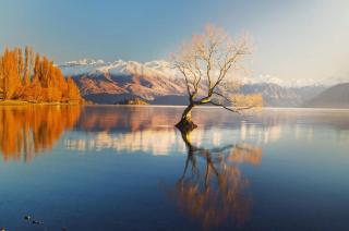 Explore Wanaka - Mountain Views, Riverside Locale - Albert Town - 8