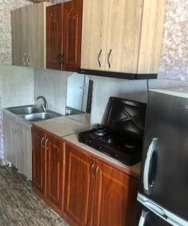 Домик-студия у моря в городе Поти со своим двориком - 3