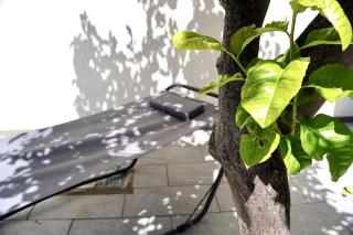 Casa al mare - Puglia Mia Apartments - 5