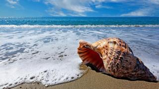 Comfort one step away from the beach - Las Terrenas - 1