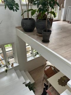 Vidunderligt hus med gårdhave - midt i centrum Brettevillesgade 16 A - 3