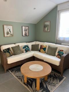 Le petit Chalet - La Ferté-Saint-Aubin - 3