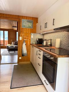 Charmant Chalet mit See und Bergsicht - Hofstetten - 7