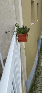 Casa do Carvoeiro - Fundão - 3
