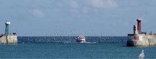 Fenêtre sur Mer I CAP MER - Port-en-Bessin-Huppain - 4