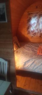 Pete's Pad - Fermoy - 6