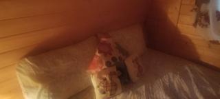 Pete's Pad - Fermoy - 2