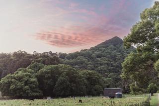 Luxe nature escape - outdoor bath - Byronshire - 2