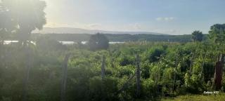 Sanxai Bnb- Homestay - Pond Side - 8