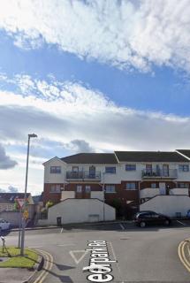 Cozy Private Self-Contained Suite - 9