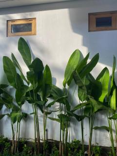 Holiday Guest House - 3
