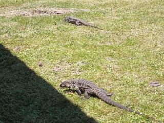 Runa, Marcos de los Reyes villa serrana - 1
