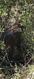 Runa, Marcos de los Reyes villa serrana - 3