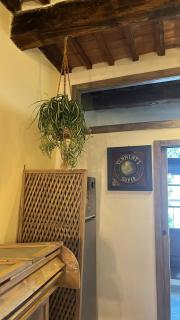 Under The Tuscan Sun - Monterotondo - 6
