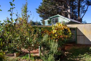Treetops Silvan Sanctuary Cottage - Silvan - 8