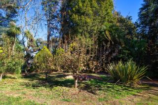 Treetops Silvan Sanctuary Cottage - Silvan - 5