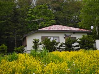 Kitakaruizawa Morino Bessou NO7 - Kita-karuisawa - 7