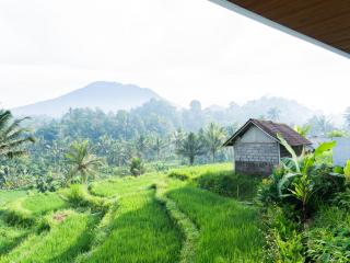 Uma Iseh Bali - Karangasem - 8