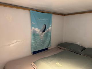 Hostel By The Sea - Green Island - 1
