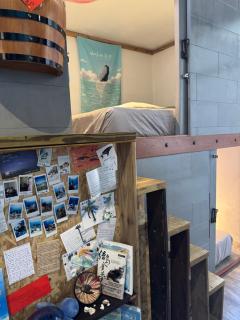 Hostel By The Sea - Green Island - 0