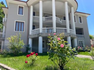 Villa Baqs in Racha - 3