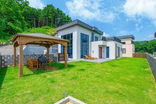 Serene Chuncheon Glamdog - Chuncheon - 6