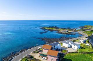 Jeju Modul Pension - 4