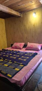 Blabla House Himachal - Jāmb - 2