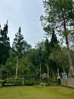 Sejuk Village - Tawangmangu - 8