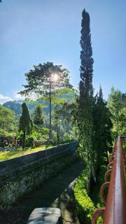 Sejuk Village - Tawangmangu - 6