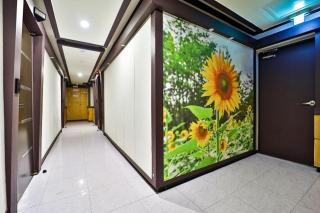 Seongnam Sunflower - Seongnam - 3