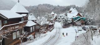 Gangwondo Kiz Tema Pension Supsok Yojung - 7