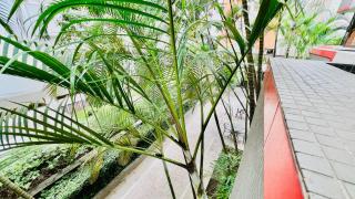 Flat Aconchegante - Drummond - São Paulo - 8