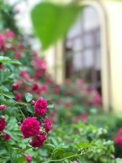 Suning Universal Hotel - 2