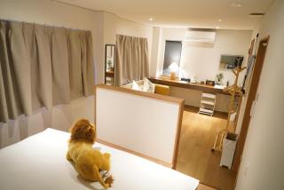 Softlight Inn Asakusa Tokyo - Tokyo - 1