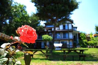 Taean Anmyeondo Innocence Pension - 4