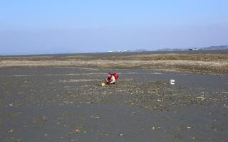 Taean Anmyeondo Sunset Sea Pension - 5