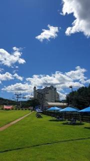 Yangji Pine Resort - 6