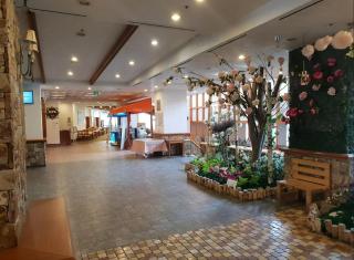 Yangji Pine Resort - 5