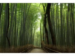 Marutamachi Crystal Hotel - Vacation STAY 05336v - Kioto - 6