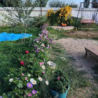 Chyngyz Guest House - Kyzart - 1
