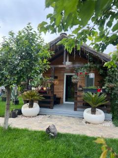 Cabana Sorina - Corbu - 7
