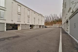 Paju Sinoan - Paju - 4