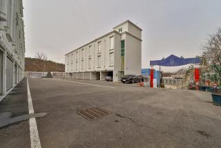 Paju Sinoan - Paju - 3