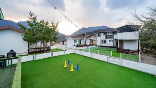 Danyang Machu Picchu Dog Garden - 5