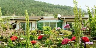 Bonghwa Power Plant Guesthouse - Bonghwa - 0